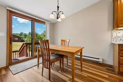 325 Pine Ridge Loop, Durango, CO 81301 photo 10