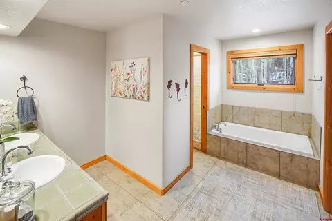 Bath - 160 Winterhawk Dr, Durango, CO 81301 photo 3 of 5