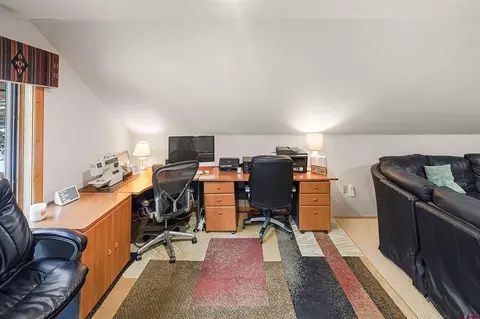 Other - 160 Winterhawk Dr, Durango, CO 81301 photo 5 of 13