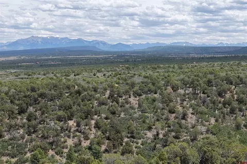 Unassigned Juniper Drive, Norwood, CO 81423