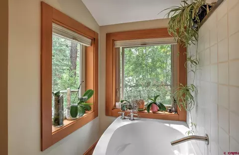 Bath - 38 Lobo, Durango, CO 81301 photo 3 of 4