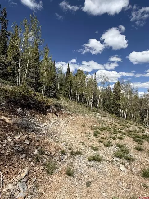 159 Lime Bluff Dr, Pitkin, CO 81241 photo 3