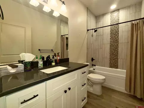 Bath - 875 SE Pinyon St, Cedaredge, CO 81413 photo 3 of 3