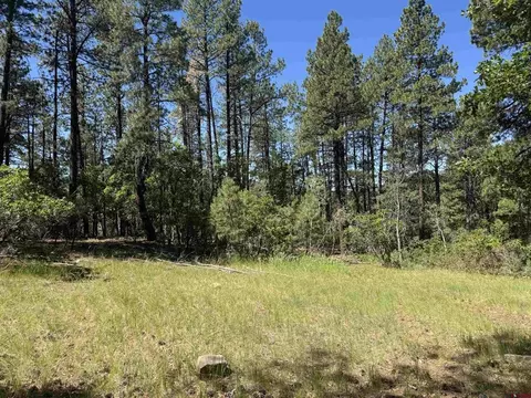 216 Fawn Dr, Bayfield, CO 81122