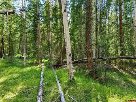 445 Aspen Trl, Cimarron, CO 81220