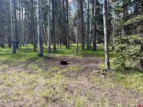 425 Aspen Trl, Cimarron, CO 81220 photo 2