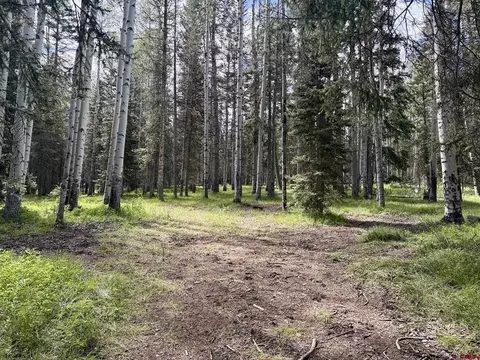 425 Aspen Trl, Cimarron, CO 81220 photo 3