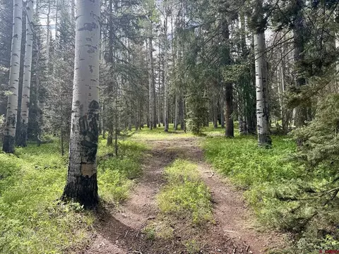 425 Aspen Trl, Cimarron, CO 81220 photo 4