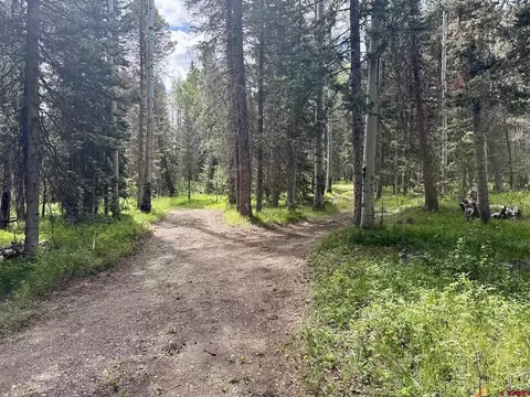 425 Aspen Trl, Cimarron, CO 81220 photo 5