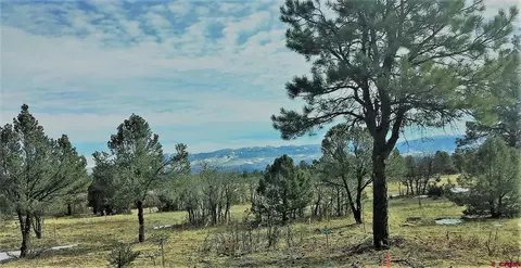 tbd S Badger Trl, Ridgway, CO 81432