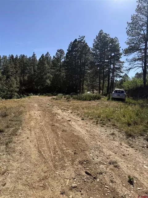 950 Deer Trial Rd, Durango, CO 81303 photo 6