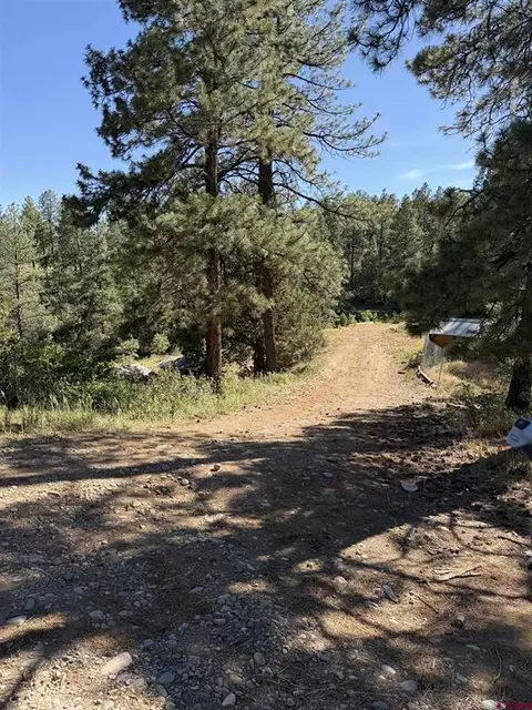 950 Deer Trial Rd, Durango, CO 81303 photo 9