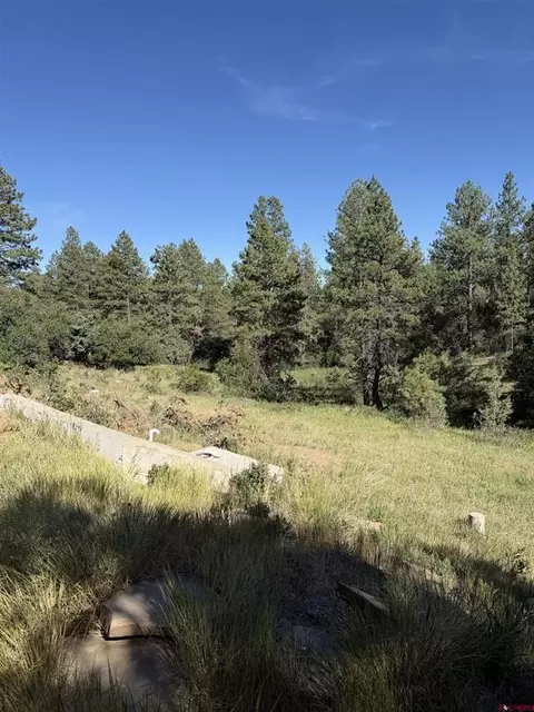 950 Deer Trial Rd, Durango, CO 81303 photo 4