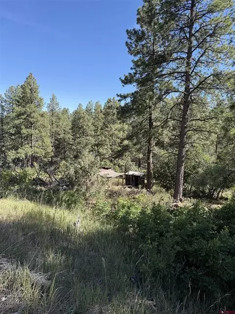 950 Deer Trial Rd, Durango, CO 81303 photo 12