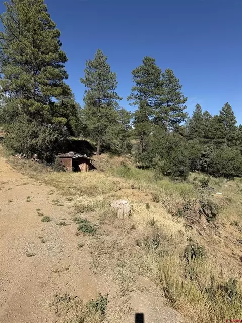 950 Deer Trial Rd, Durango, CO 81303 photo 5