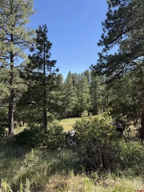 950 Deer Trial Rd, Durango, CO 81303 photo 10