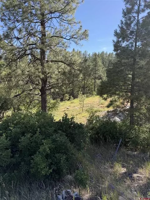 950 Deer Trial Rd, Durango, CO 81303 photo 11