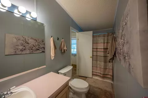 Bath - 11 Huckleberry Ln, Durango, CO 81301 photo 2 of 3