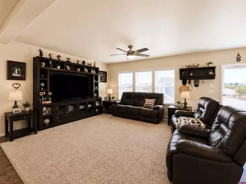 Living - 3815 Ruth Ln, Delta, CO 81416 photo 3 of 3