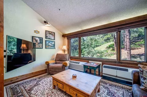 Living - 314 N Tamarron Dr #340, Durango, CO 81301 photo 3 of 4