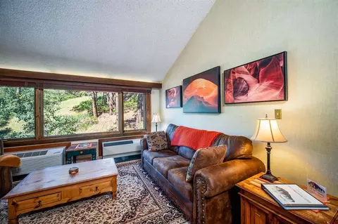 Living - 314 N Tamarron Dr #340, Durango, CO 81301 photo 4 of 4