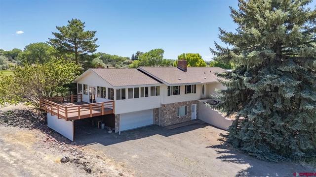 21369 Spruce Ln, Cedaredge, CO 81413