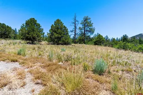 145 Wild Chives Ct, Durango, CO 81301 photo 4