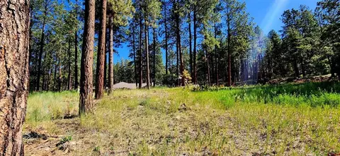 361 Hogan Cir, Durango, CO 81301 photo 4