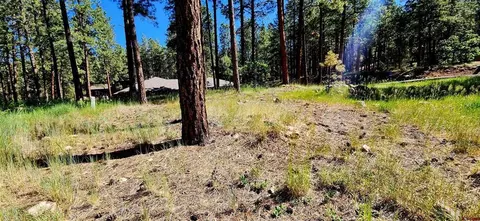 361 Hogan Cir, Durango, CO 81301 photo 3