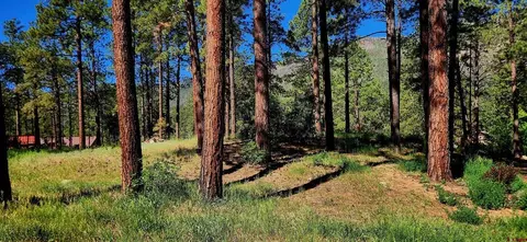 361 Hogan Cir, Durango, CO 81301 photo 6