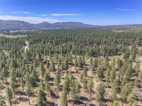 1100 Cr125, Durango, CO 81303 photo 19