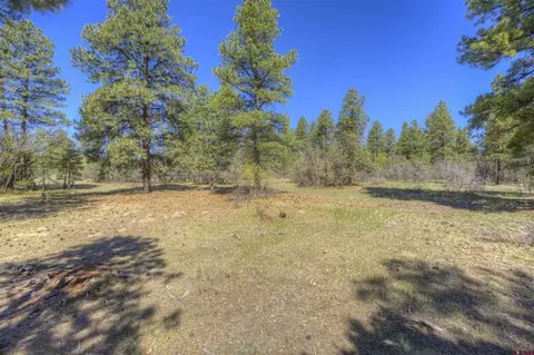 1100 Cr125, Durango, CO 81303 photo 5
