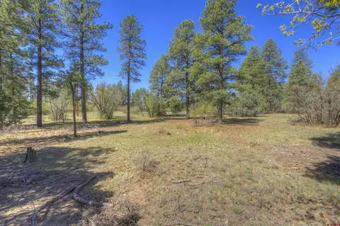 1100 Cr125, Durango, CO 81303 photo 4