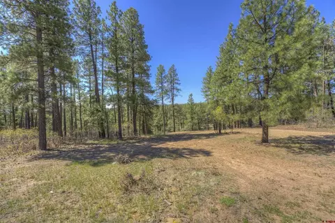 1100 Cr125, Durango, CO 81303 photo 6