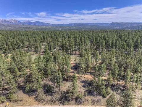 1100 Cr125, Durango, CO 81303 photo 12