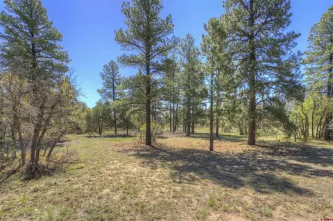 1100 Cr125, Durango, CO 81303 photo 2