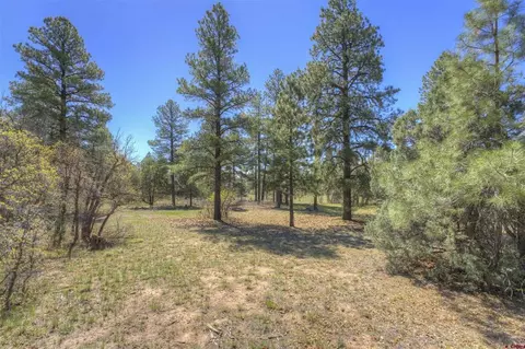 1100 Cr125, Durango, CO 81303 photo 3