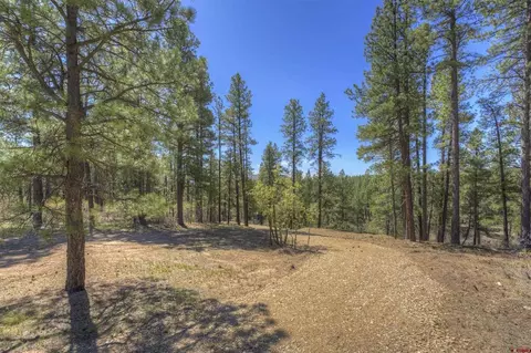 1100 Cr125, Durango, CO 81303 photo 7