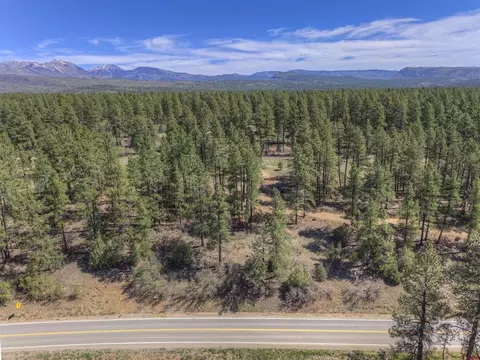 1100 Cr125, Durango, CO 81303 photo 11