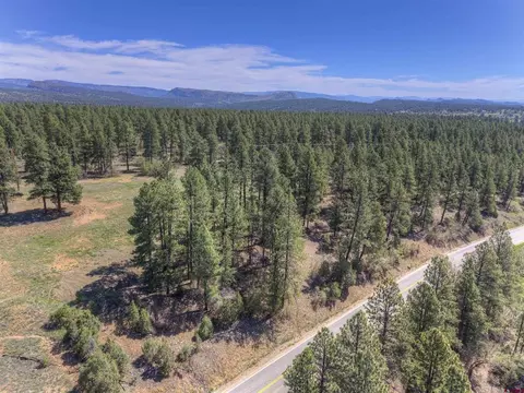 1100 Cr125, Durango, CO 81303 photo 14