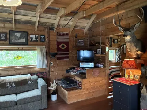 Living - 21333 College Dr, Cedaredge, CO 81413 photo 4 of 5
