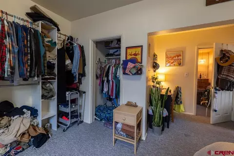Other - 558 E 4th Ave, Durango, CO 81301 photo 5 of 5