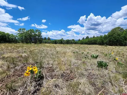 tbd Canyon Rim Loop, Placerville, CO 81430 photo 30