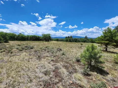 tbd Canyon Rim Loop, Placerville, CO 81430 photo 29