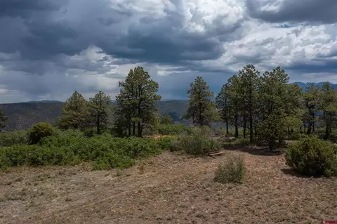 tbd Canyon Rim Loop, Placerville, CO 81430 photo 22