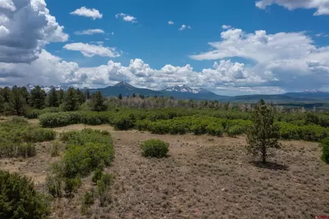 tbd Canyon Rim Loop, Placerville, CO 81430 photo 14