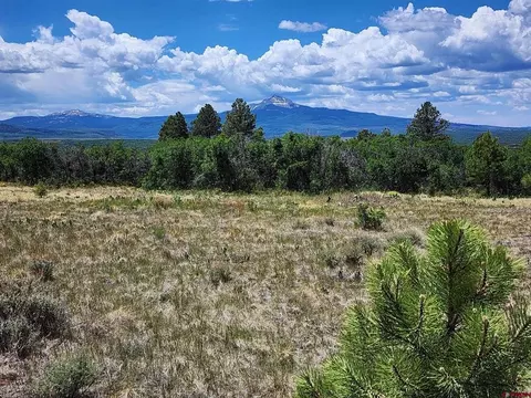 tbd Canyon Rim Loop, Placerville, CO 81430 photo 28