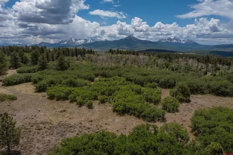tbd Canyon Rim Loop, Placerville, CO 81430 photo 15