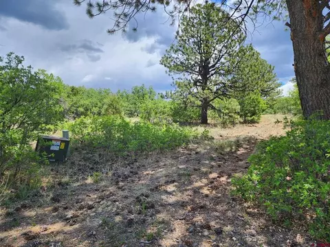 tbd Canyon Rim Loop, Placerville, CO 81430 photo 31