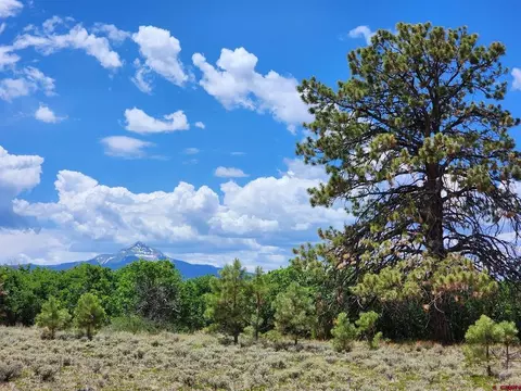 tbd Canyon Rim Loop, Placerville, CO 81430 photo 12